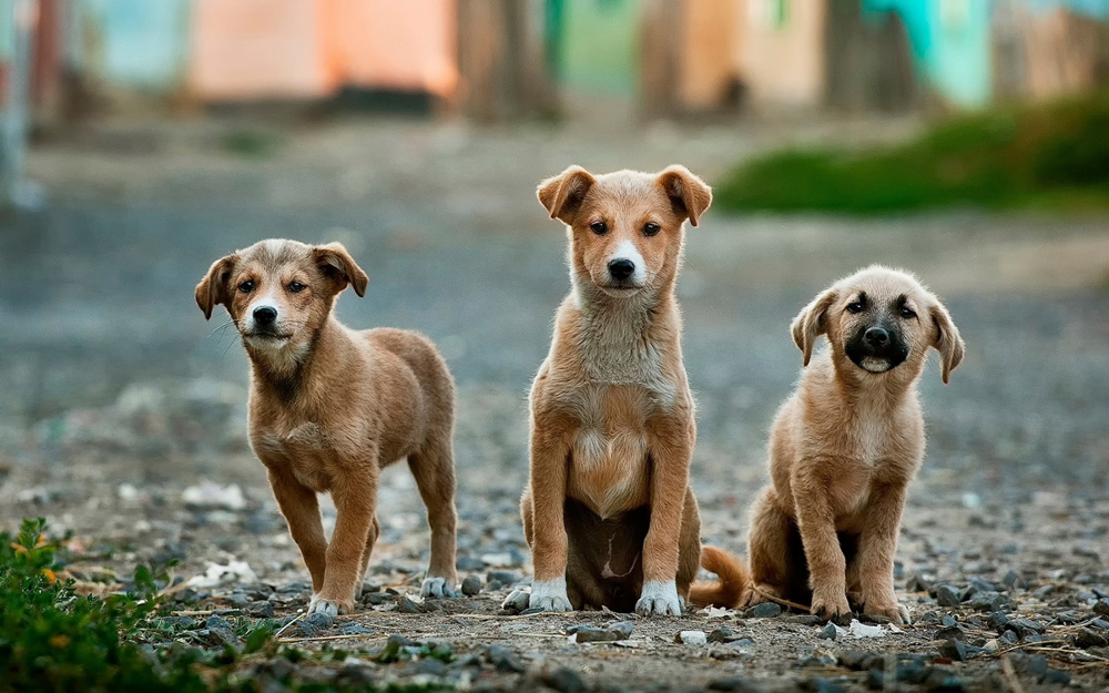 3-2-1
